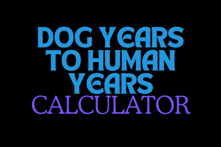 Dog Years To Human Years